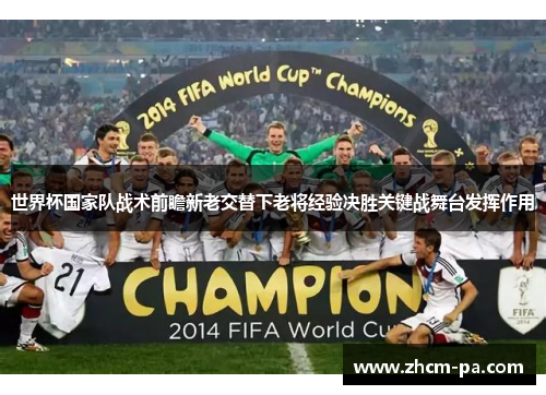 世界杯国家队战术前瞻新老交替下老将经验决胜关键战舞台发挥作用